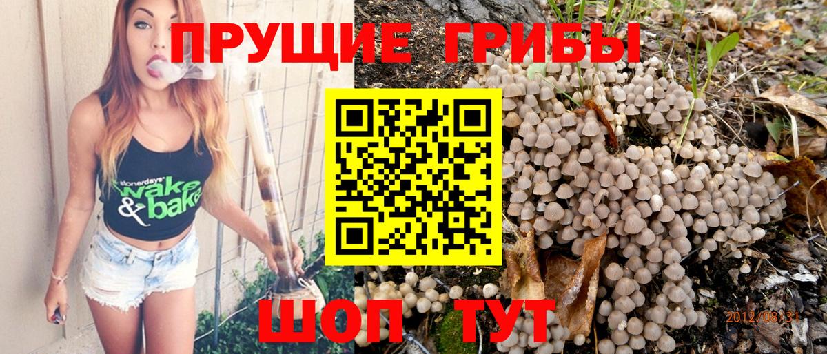 Лыткарино  Галлюциногенные грибы мухоморы  Вход с VPN  Псилоцибиновые грибы мицелий 