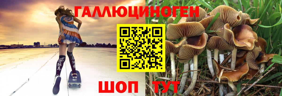 Галлюциногенные грибы мицелий Лыткарино